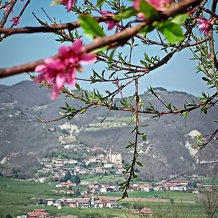 Chiaromonte Oda ve Kahvaltı *
