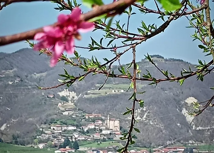 Chiaromonte Bed & Breakfast *